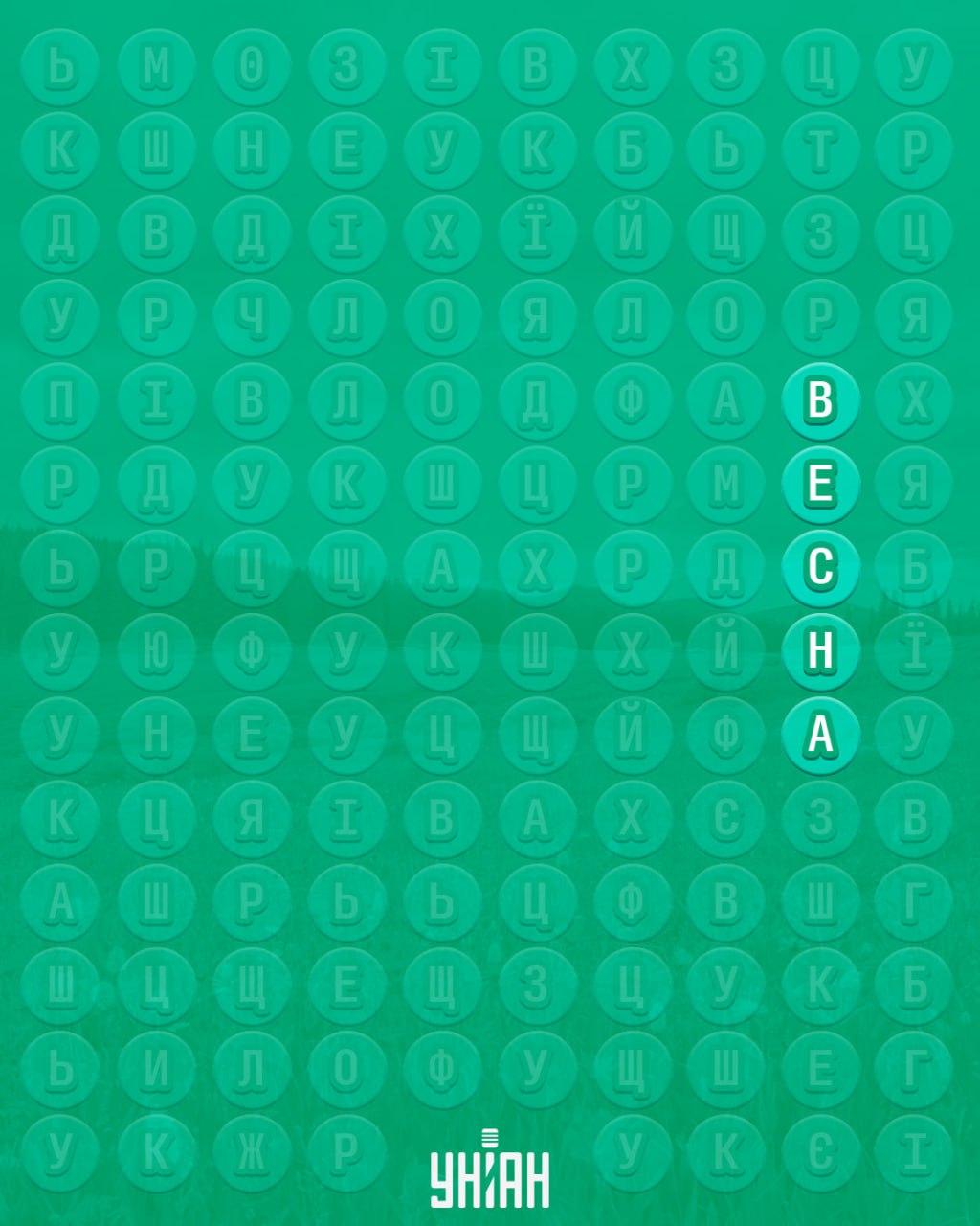 98 % ľudí nedokáže nájsť slovo 