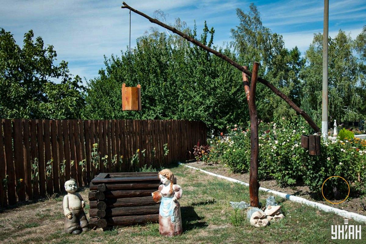 Mačka bola v záhone / koláž Moje