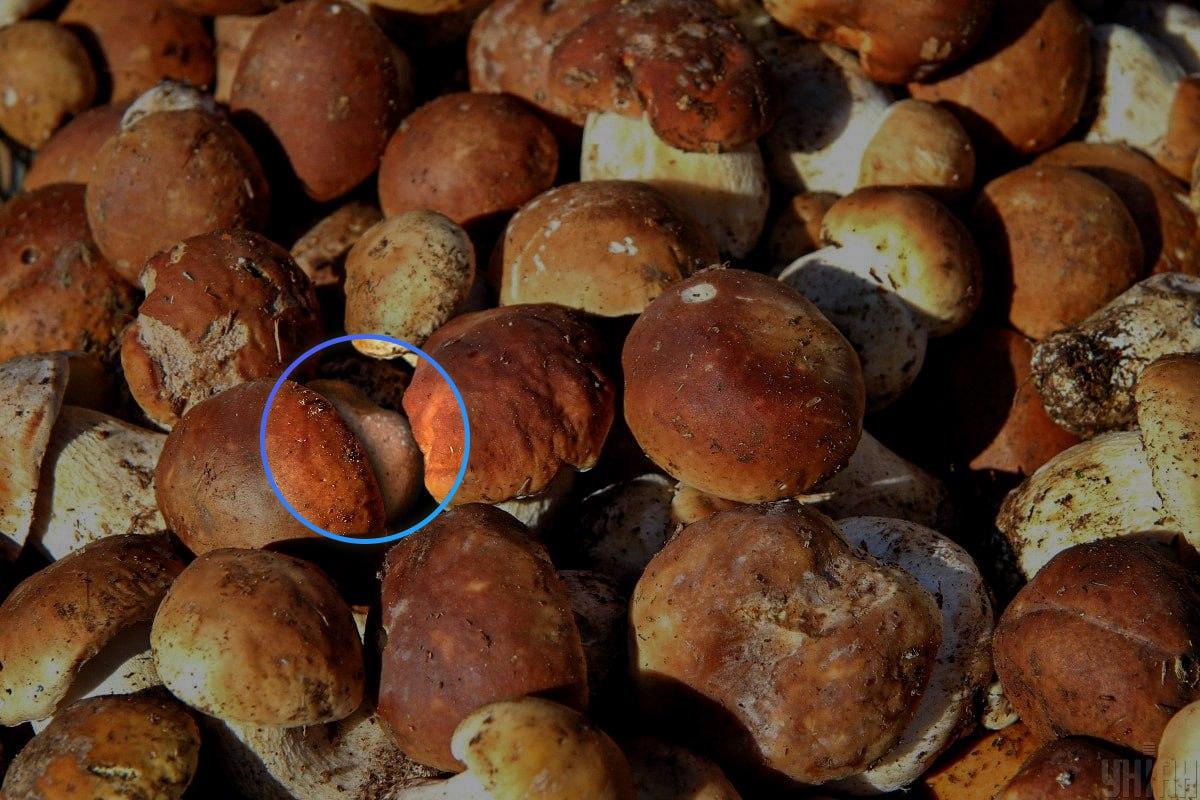 Kameň bol takmer v strede optickej ilúzie / koláže Moje