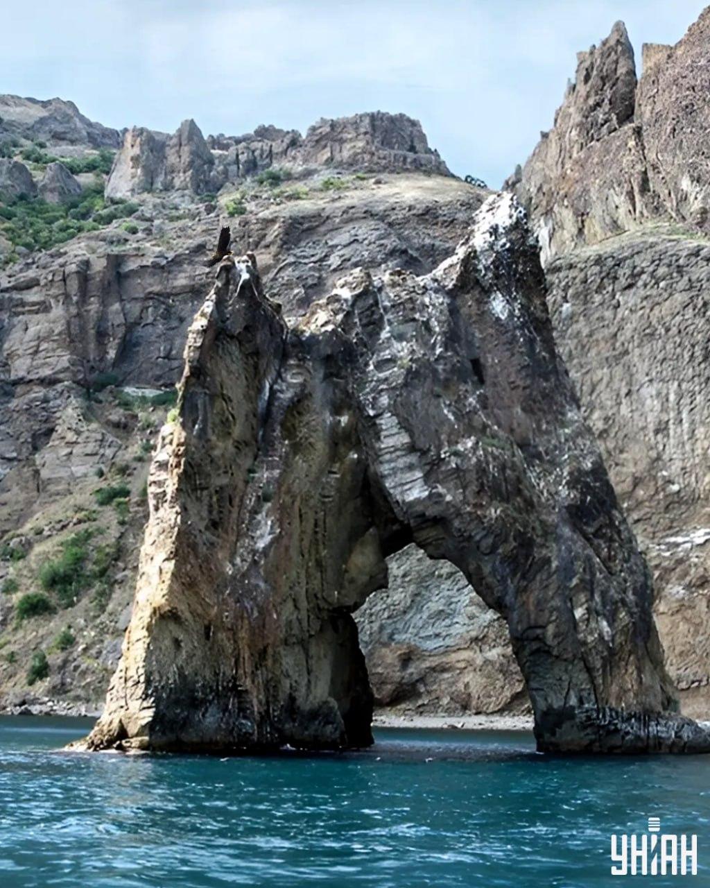 Nájsť orla na obrázku skladačky / koláže s fotografiou Moje trvá menej ako 10 sekúnd