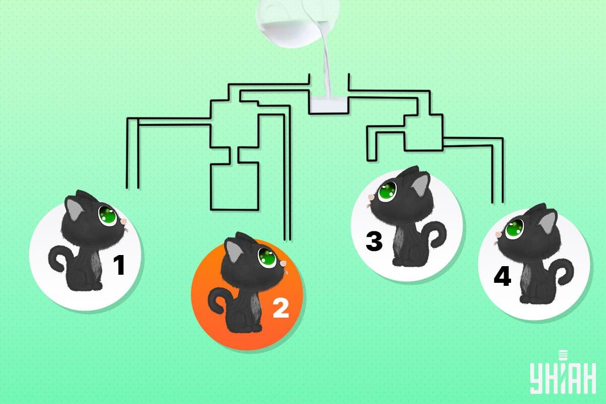 Šťastná mačka mala číslo 2 / koláž Moje