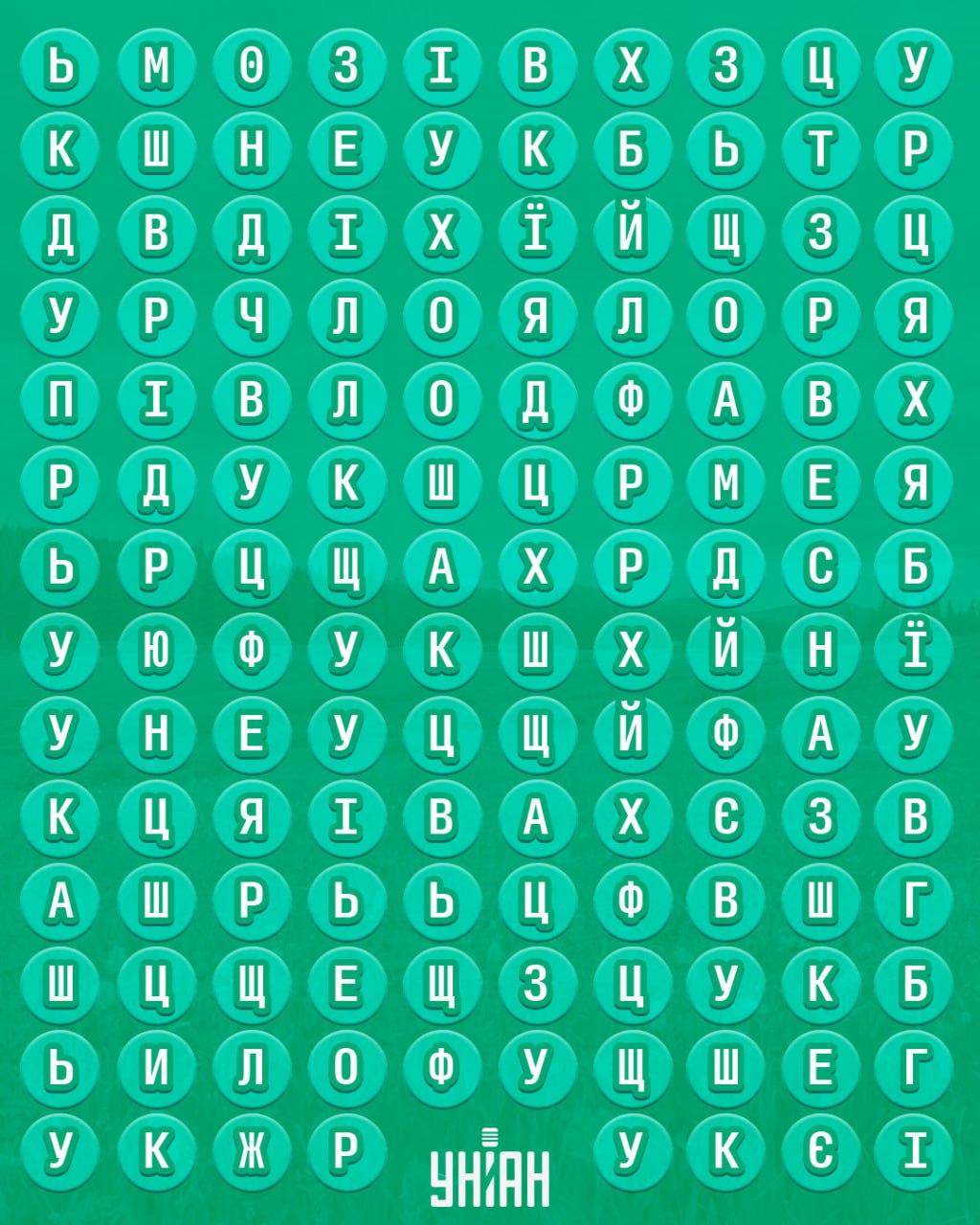 98 % ľudí nedokáže nájsť slovo 