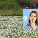 Bociana za 9 sekúnd nájdu len ľudia s úžasným IQ: