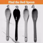 Červenú lyžičku na fotografii nájde za 6 sekúnd len génius: