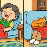 Geniálny test: skúste nájsť 3 rozdiely na obrázku za 23