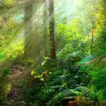 Hádanka pre tých, ktorí majú výborný zrak: musíte nájsť hada za 6 sekúnd. Hádanka pre tých, ktorí majú výborný zrak: musíte nájsť hada