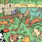 Hádanka pre tých, ktorí majú výborný zrak: musíte nájsť magnet