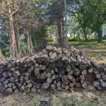 Hádanka pre tých najveselších a najnápaditejších: musíte nájsť mačku do