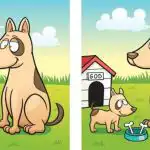 IQ test: za 45 sekúnd musíte nájsť 5 rozdielov medzi