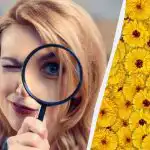 Len 1 z 10 ľudí nájde na obrázku jeleňa za 7 sekúnd: veľmi zložitý optický klam Len 1 z 10 ľudí nájde na obrázku jeleňa za