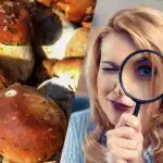 Len ľudia so supersilným IQ uvidia kameň medzi hubami za