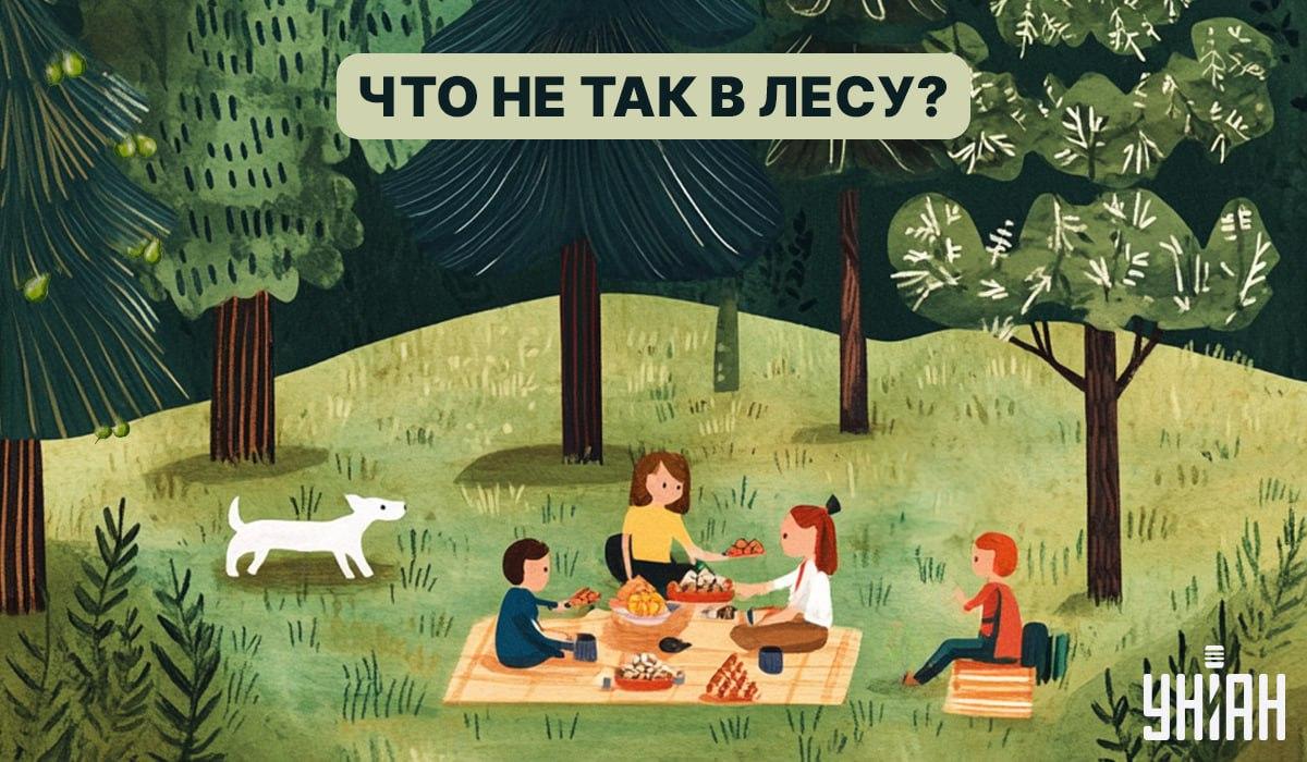 Nájdi chybu v lese za 5 sekúnd: rýchly test na overenie IQ