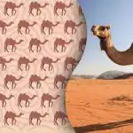 Podivnú ťavu nájdu len novodobí Sherlockovia Holmesovia: záhada pre tých