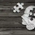 Skrytú tvár na optickej ilúzii dokážu rýchlo nájsť len ľudia