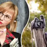 Túto "diabolskú" hádanku dokáže za 30 sekúnd vyriešiť len skutočný