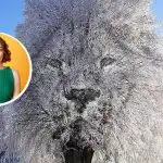 "Uzavretý" alebo "spoločenský" človek: čo o vás môže prezradiť optická